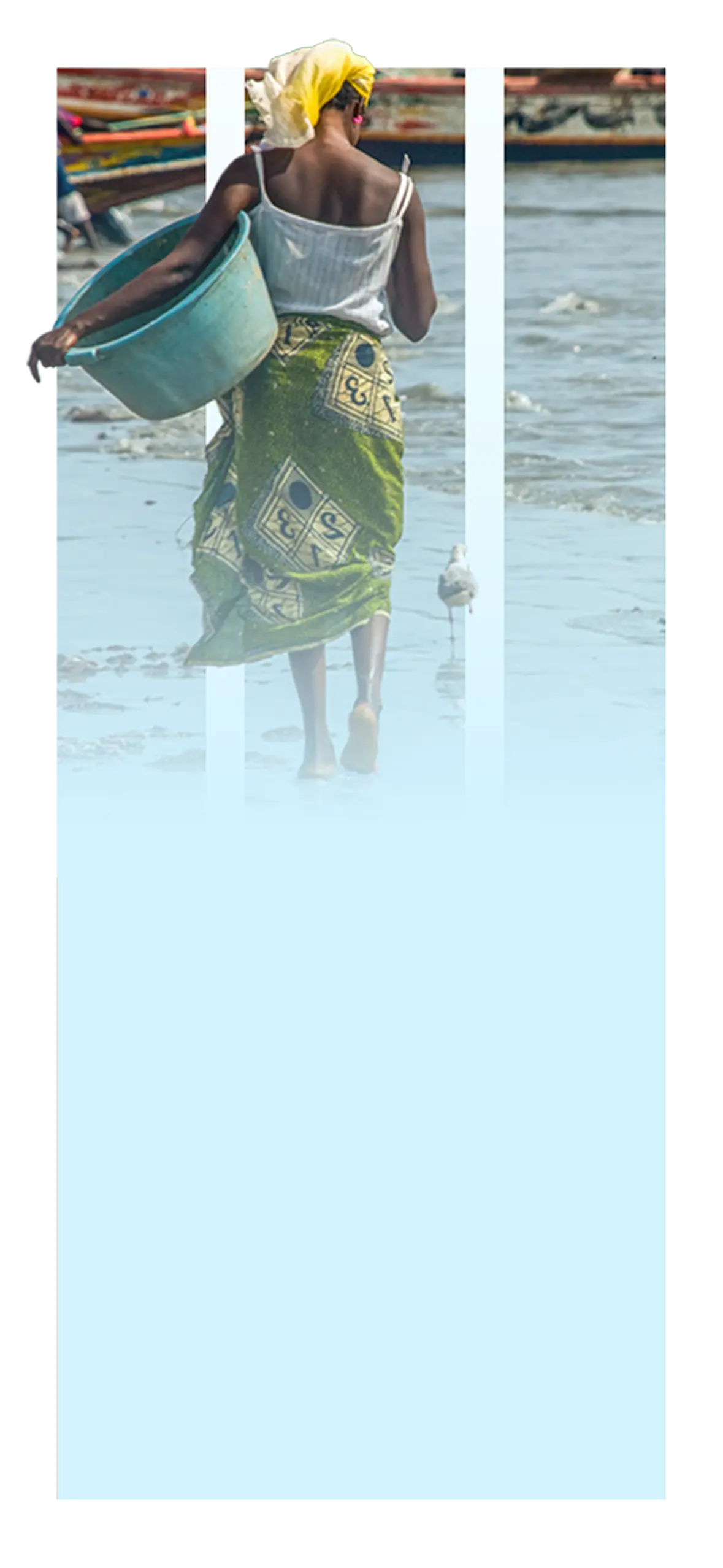 bof-foundation-description-image