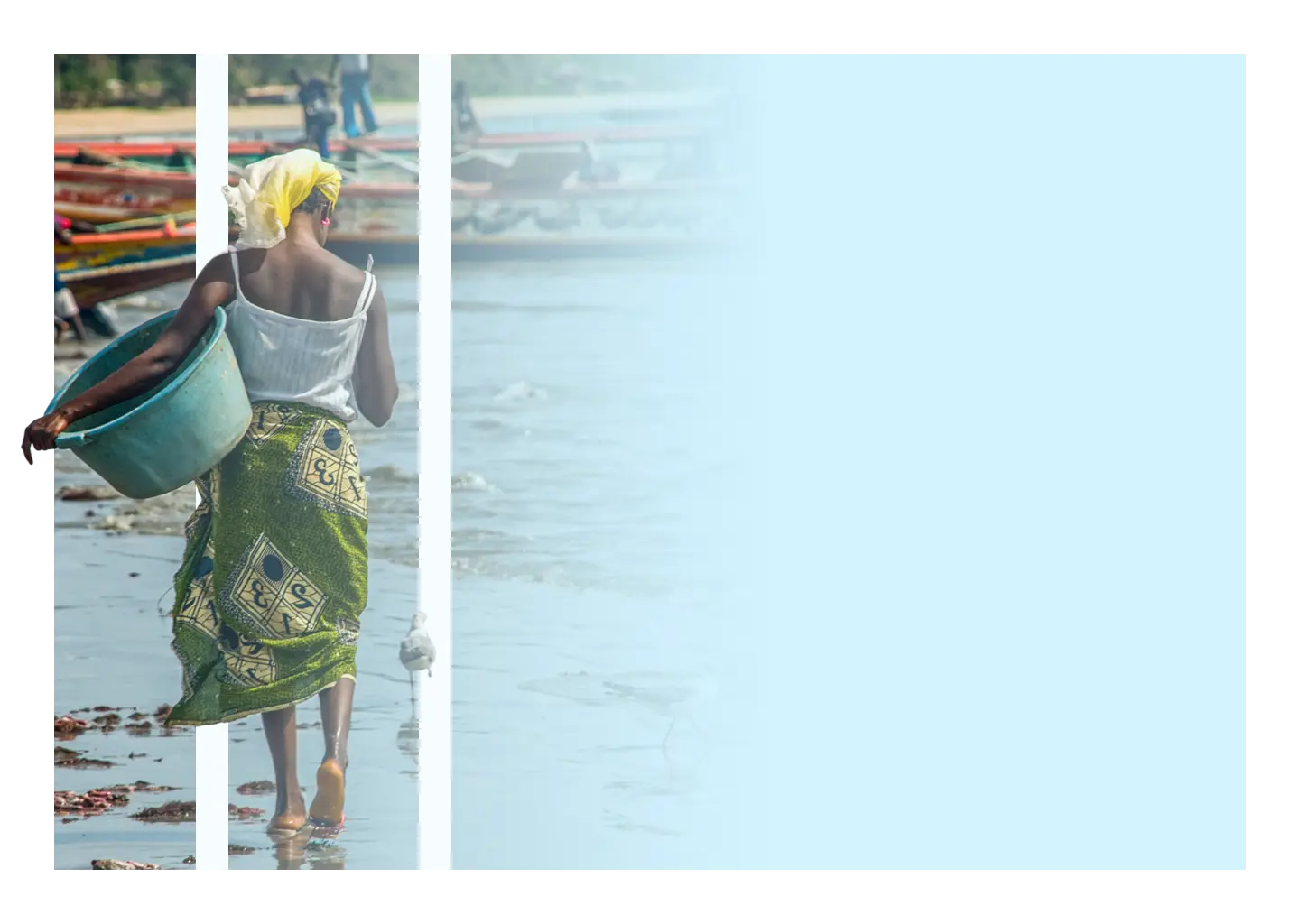 bof-foundation-description-image